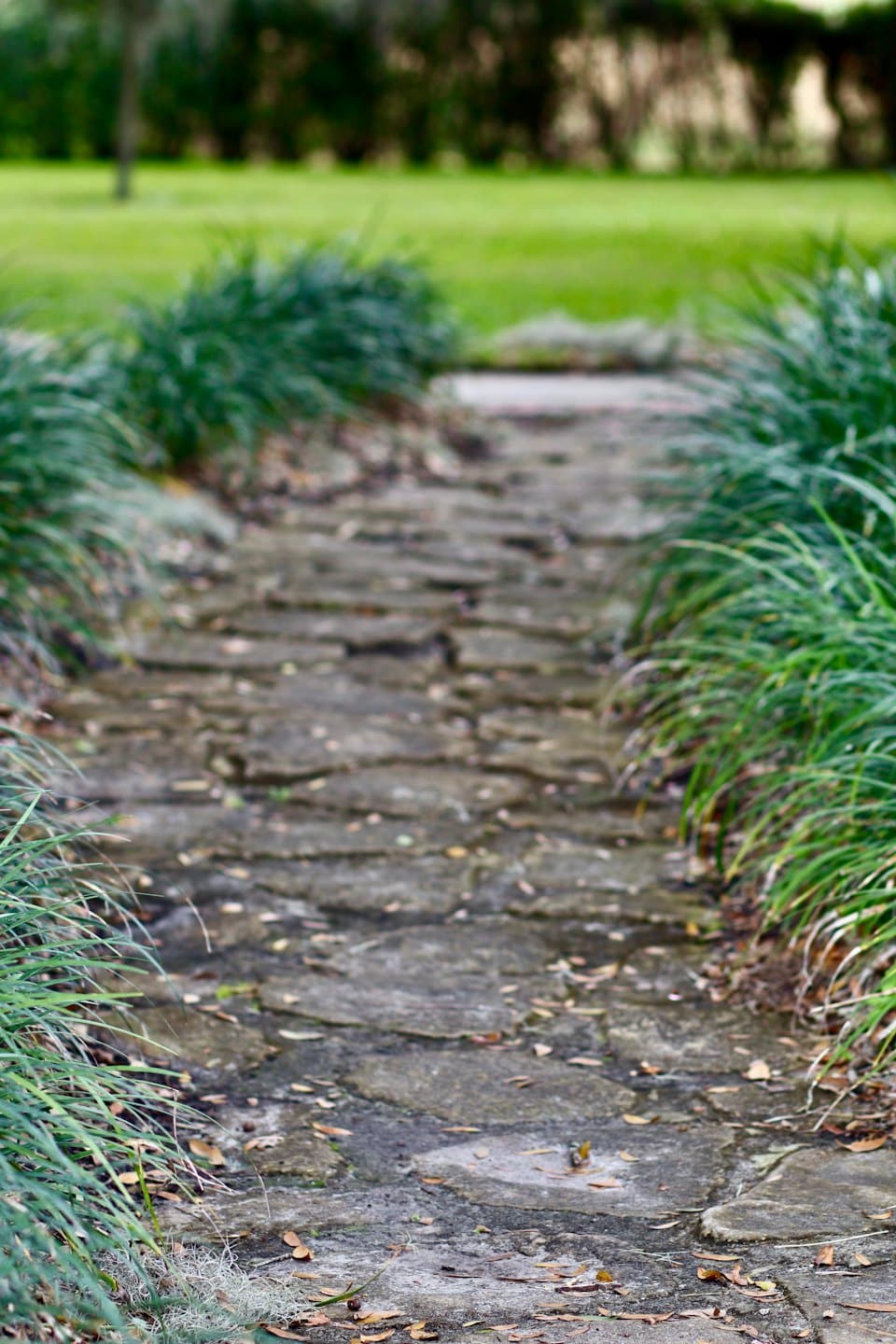 Steinpfad schlängelt sich durch einen Garten mit Ziergräsern.